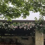Bubullime Albania * Lushnjë