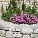 Bubullime Albania Villa *
