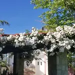 Bubullime Albania *