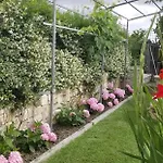 Bubullime Albania * Lushnjë