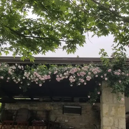 Bubullime Albania * Lushnje